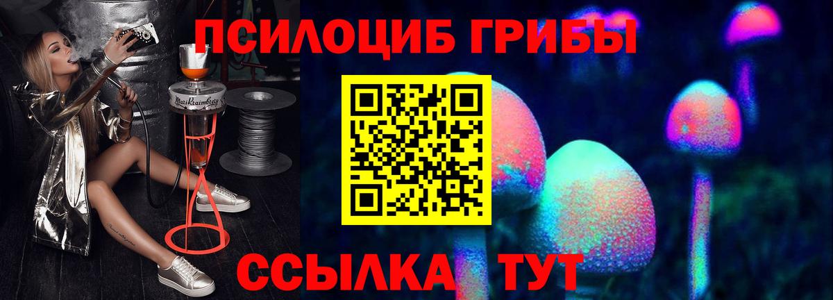 Галлюциногенные грибы мицелий  купить наркотики цена  Галлюциногенные грибы MAGIC MUSHROOMS  Новочебоксарск  Вход с VPN 